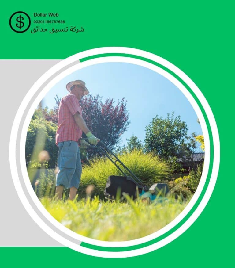 تنسيق حدائق الصالحية بالرياض