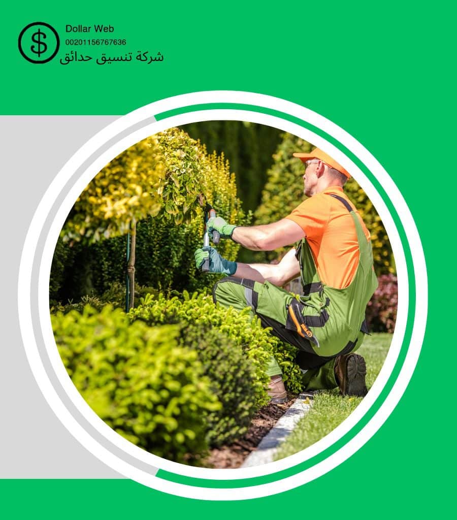 تنسيق الحدائق حي الغدير بالرياض
