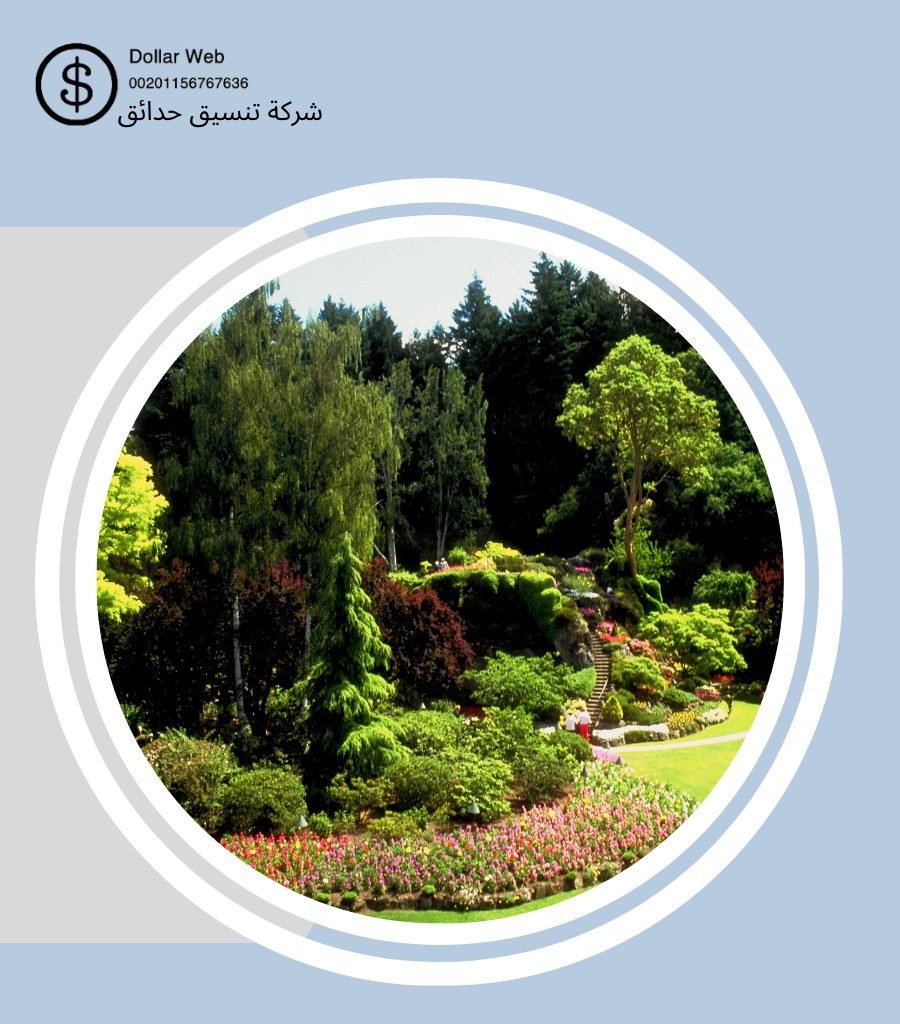 تنسيق حدائق الورود