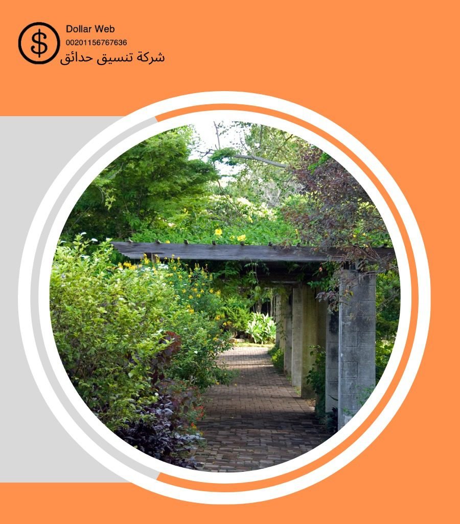 تنسيق حدائق الدريهمية