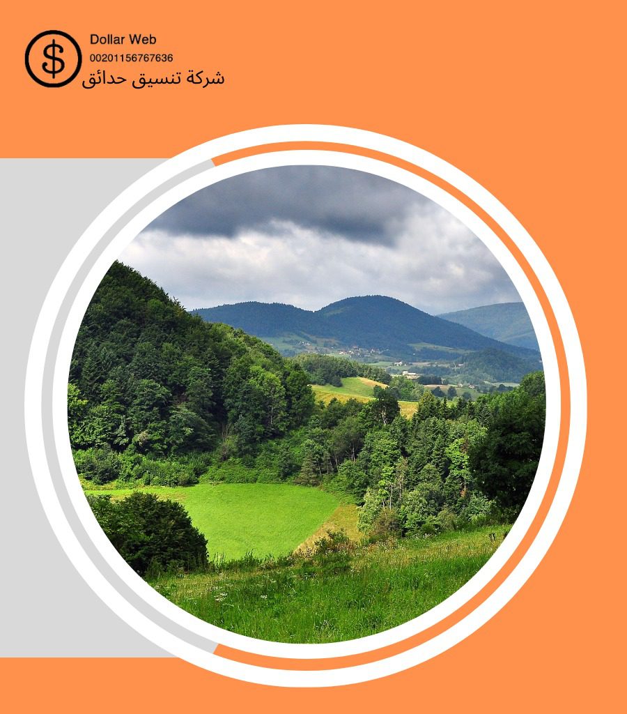 تنسيق حدائق النفل