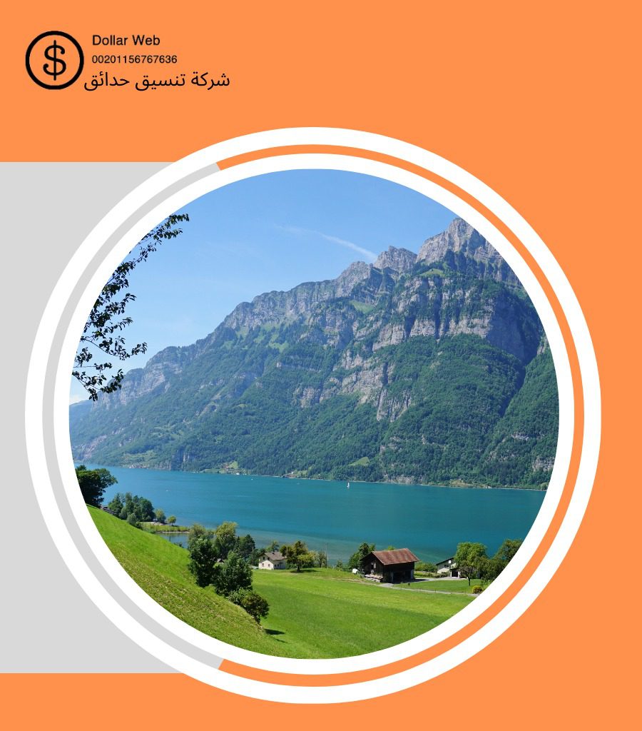 تنسيق حدائق حي الغدير